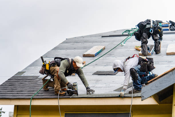 Professional Emergency Roof Repair technician working in Sherburne, NY